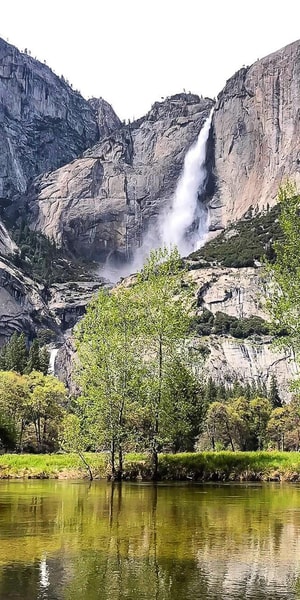 San Francisco, Day Trip to Yosemite with Giant Sequoias Hike - Housity