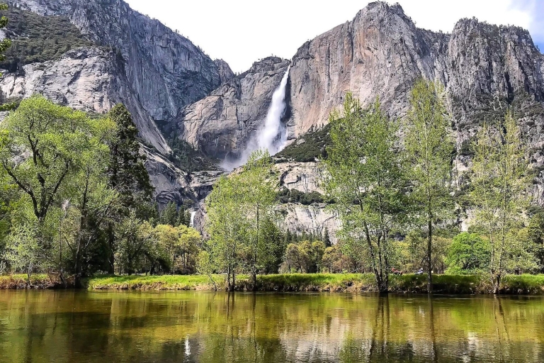 Ab San Francisco: Tagestour zum Yosemite-Nationalpark