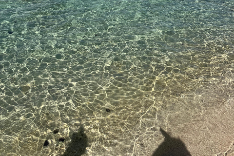 Descubriendo el sur. Paseos a caballo por la playa, excursiones a cascadas.