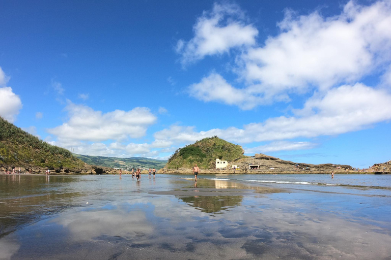 Whale and Dolphin Watching with Vila Franca Islet Visit