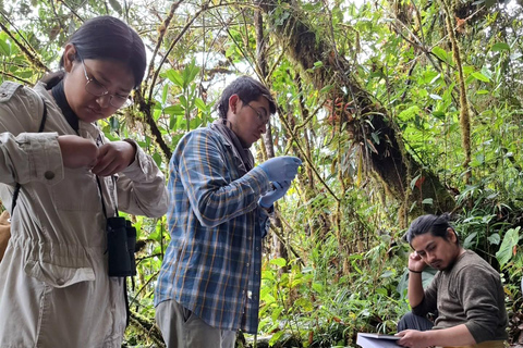 From Cusco: Manu National Park Day Trip with Birdwatching