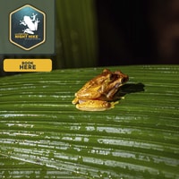 Visite de nuit de Fortuna - Escade nocurale - Housity