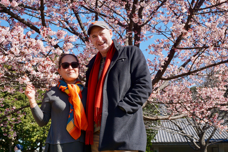 Tokyo : La visite guidée ultime // faite par des guides de la régionTokyo : 3 jours complets d&#039;itinéraire