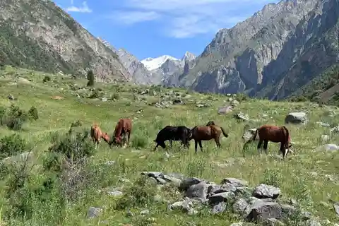 Fra Bishkek: Sokuluk-kløften og Belogorka-vandfaldet (en dag)