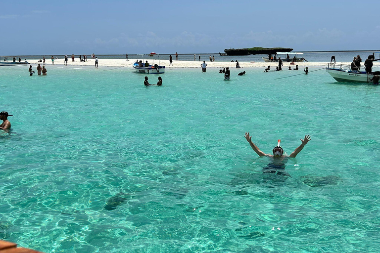Traditional dhow ride to Kisite Marine Park & Wasini & dolphin watching