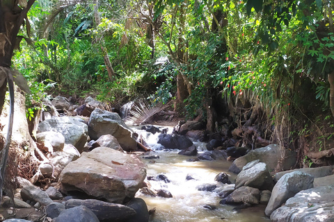 Kandy city tour and village tour in one day