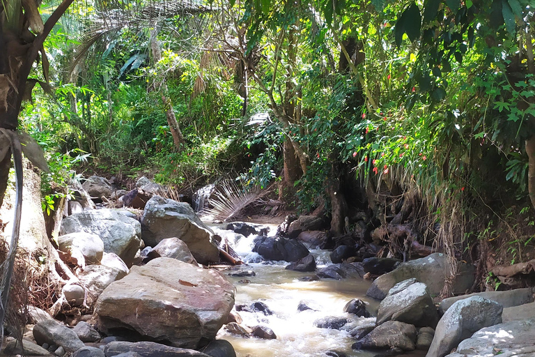 Kandy city tour and village tour in one day