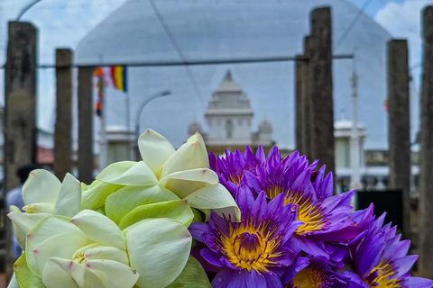 From Colombo: Anuradhapura Private Transfer & Temple Tour