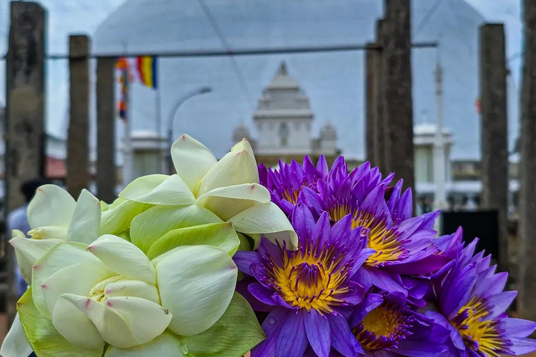 From Colombo: Anuradhapura Private Transfer & Temple Tour