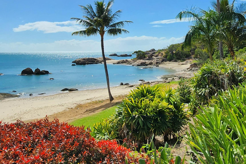 Bowen Discovery - Top of the Whitsundays