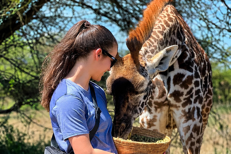 Moshi: Birdwatching & Wildlife Photography Safari with Guide