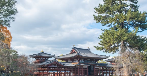 Kyoto: Private Tour with English Guide Pickup And Drop Off