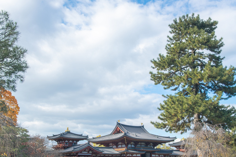 Kyoto: Private Tour with English Guide Pickup And Drop Off