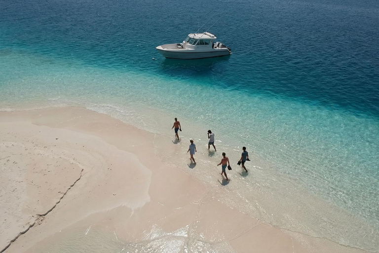 Abu Dhabi: Dolphin Boat Tour with Swim, Lunch, and Transfer