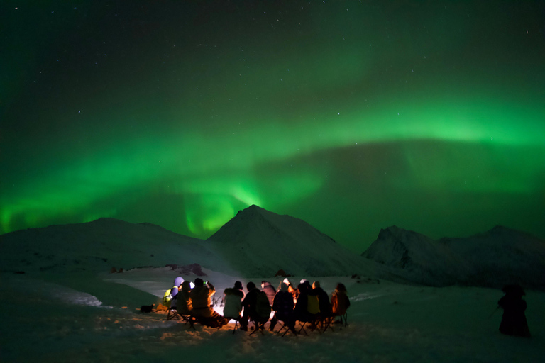Tromsø: Northern Lights Tour – Unlimited Chase & Free Photos 6-8 Hours, Aurora chase, Comfortable bus, Photos included