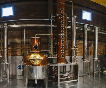 Luján de Cuyo: degustação de vinhos e gins com aula de coquetéis