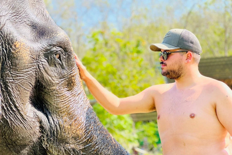 Phuket: Elefanten füttern bei Phuket Elephant CareAbholung vom Hotel in Phuket