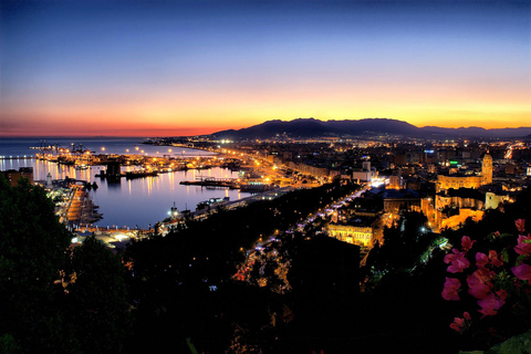 Malaga: Gibralfaro Castle entry ticket