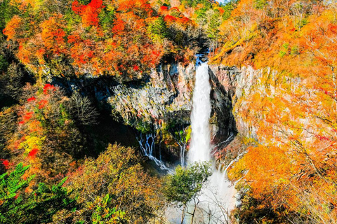Nikko Day Tour from Tokyo with English Speaking Driver