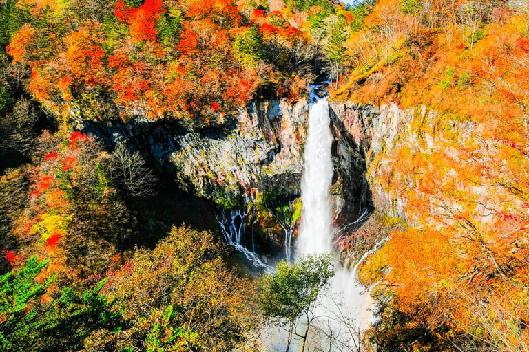 Nikko Day Tour from Tokyo with English Speaking Driver