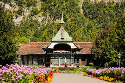 Zürich: Tagesausflug nach Grindelwald & Interlaken mit Bus & Zug