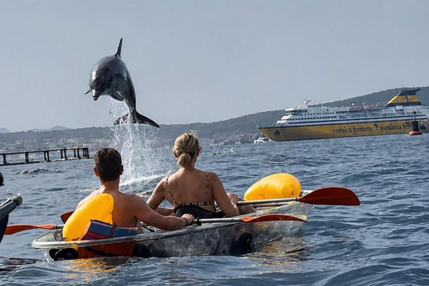Golfo Aranci: kayak transparente o tradicional, delfines y aperitivo