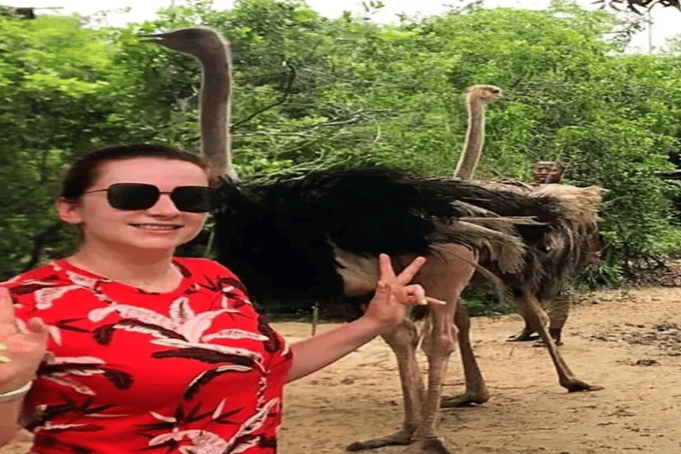 Zanzibar: Rondleiding door Nungwi Village, dierentuin Kilosa &amp; boottocht bij zonsondergang