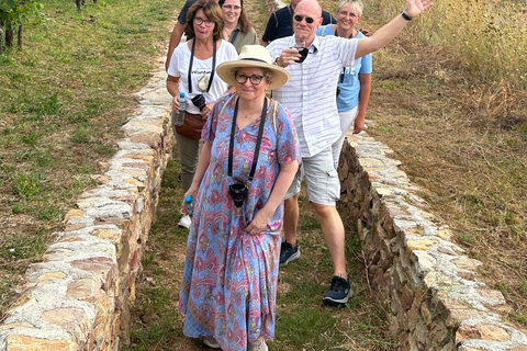 Johannisberg Rheingau: Wine tasting with cellar tour and hike