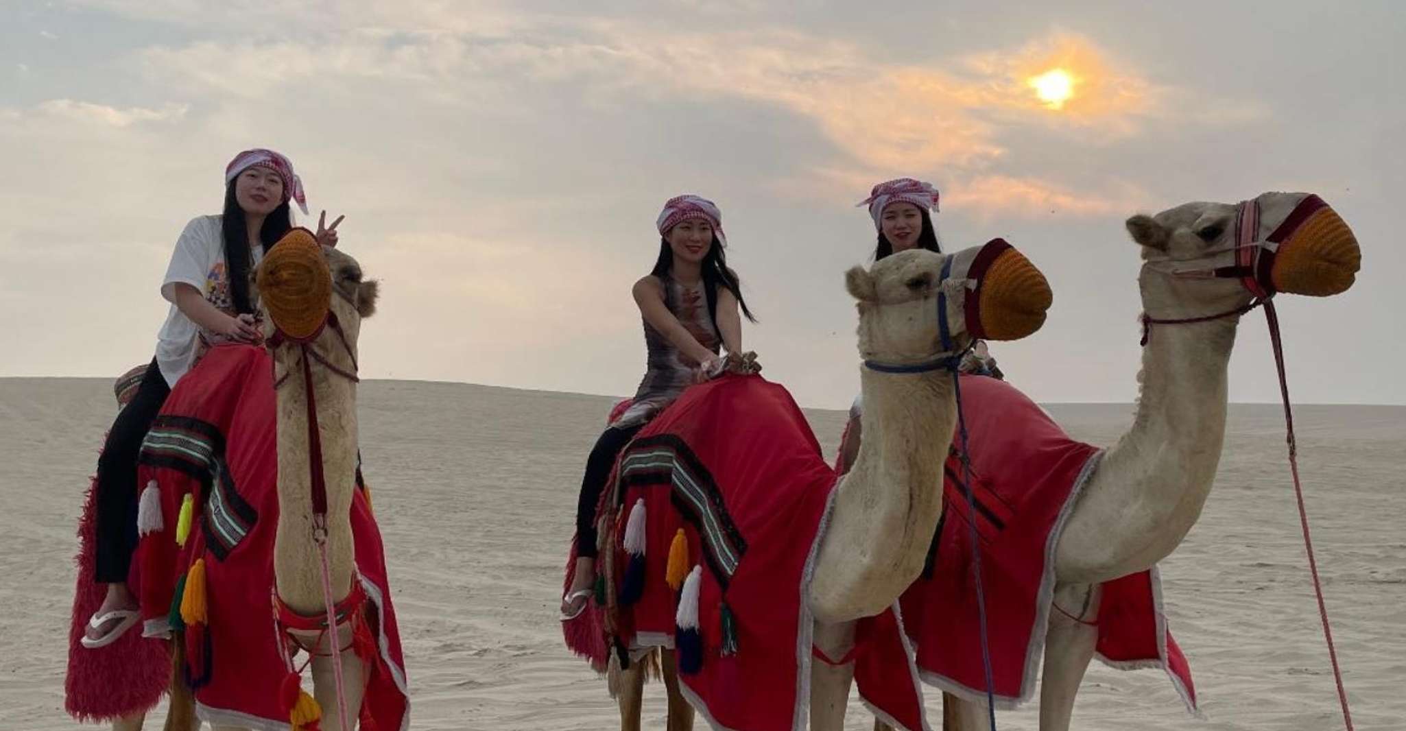 Doha: Desert Safari, Adventure, Sandboarding and Camel Ride photo 19