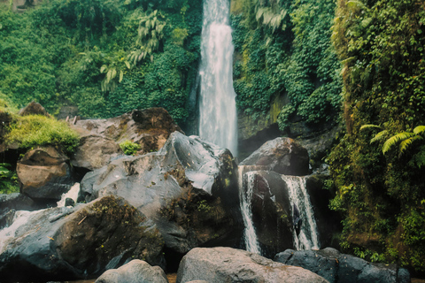 1 Day Materuni Waterfalls, Coffee Tour & Picnic Hot Lunch