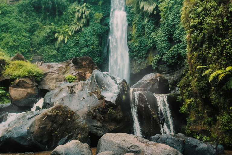 1 Day Materuni Waterfalls, Coffee Tour & Picnic Hot Lunch