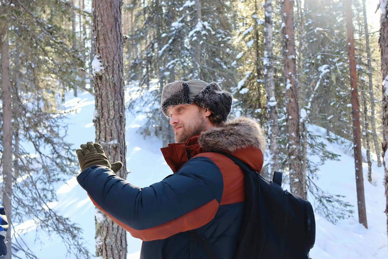 Rovaniemi: Korouoma Canyon Bevroren Watervallen Wandeling met gids