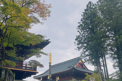 Tour privato di un giorno a Nikko con autista che parla inglese