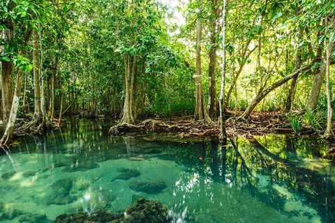 Visite d&#039;une jounée de la forêt de mangroves de Can Gio et de l&#039;île aux singes