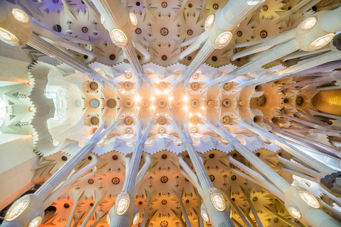 Sagrada Familia Guided Tour with Official Guide Regular Tour