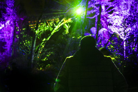 Mārama: Geyser Light Trail Entry Ticket