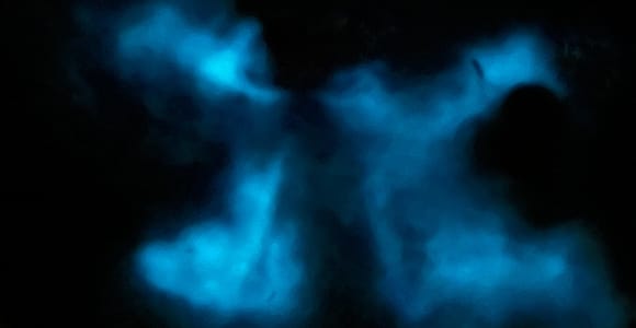 La Parguera: Bioluminescent Bay Boat Tour