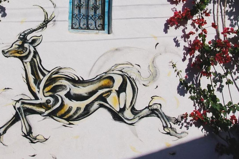 Djerba island: Pottery, jews Synagogue & Djerbahood Graffiti