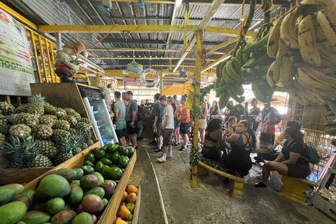 El Yunque Rainforest; Waterslides, Beach, Dine and Shop Tour El Yunque Rainforest Waterslides and Beach Tour