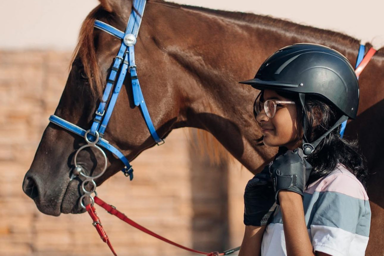 Doha : Private Horse Ride Experience With Pickup &amp; Drop Off