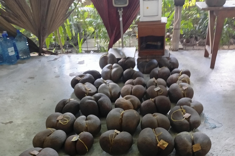 Mahé: Guided Island Tour