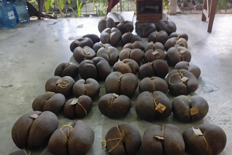 Mahé: Guided Island Tour