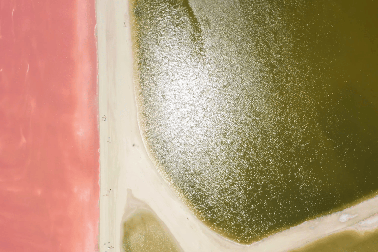 Riviera Maya: Rio Lagartos & Las Coloradas Day Trip w/Lunch From Riviera: Rio Lagartos & Las Coloradas Day Trip & Lunch