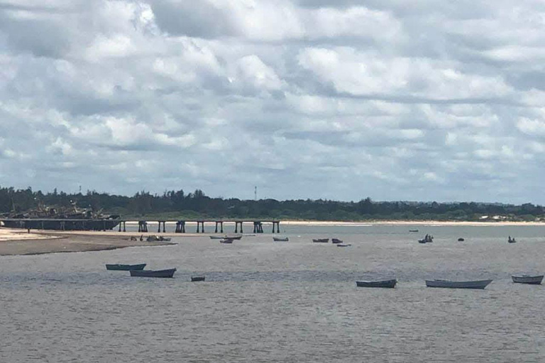 Mombasa/Diani: Day tour to Malindi town and Gede Ruins Malindi: City tour and Gede Ruins