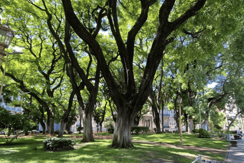 Buenos Aires: 7 Hour Semi-Private "BA 101" Walking Tour