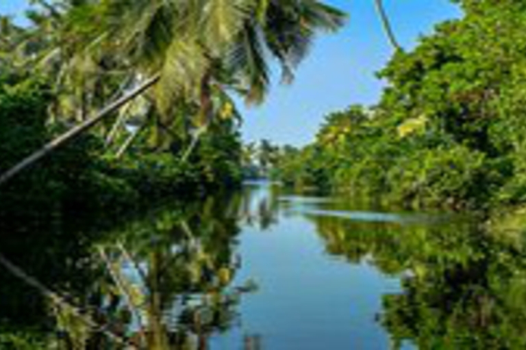 Paseo en Catamarán Tradicional con Puntos Destacados de la Ciudad de Negombo