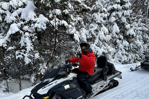Mont-Tremblant Area: Guided Snowmobile Tour Solo Snowmobile Adventure 1.5 to 2 h (one-seater snowmobile)
