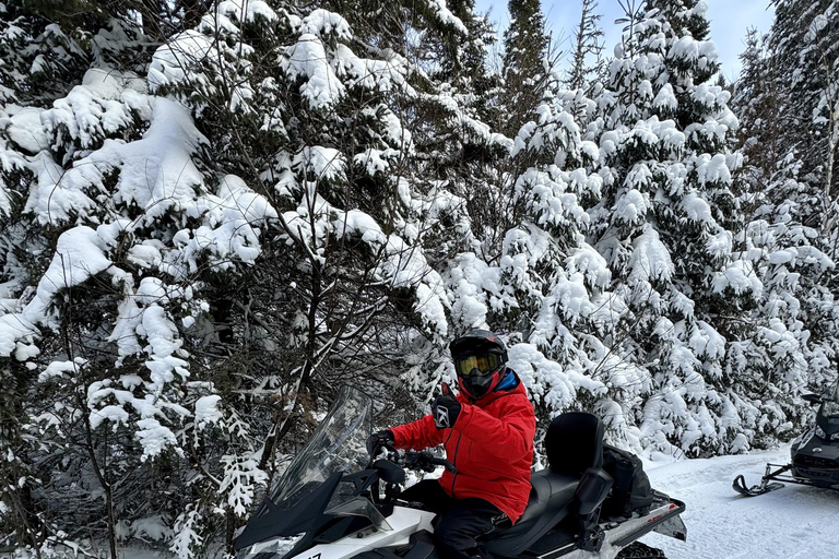 Mont-Tremblant Area: Guided Snowmobile Tour Solo Snowmobile Adventure 1.5 to 2 h (one-seater snowmobile)