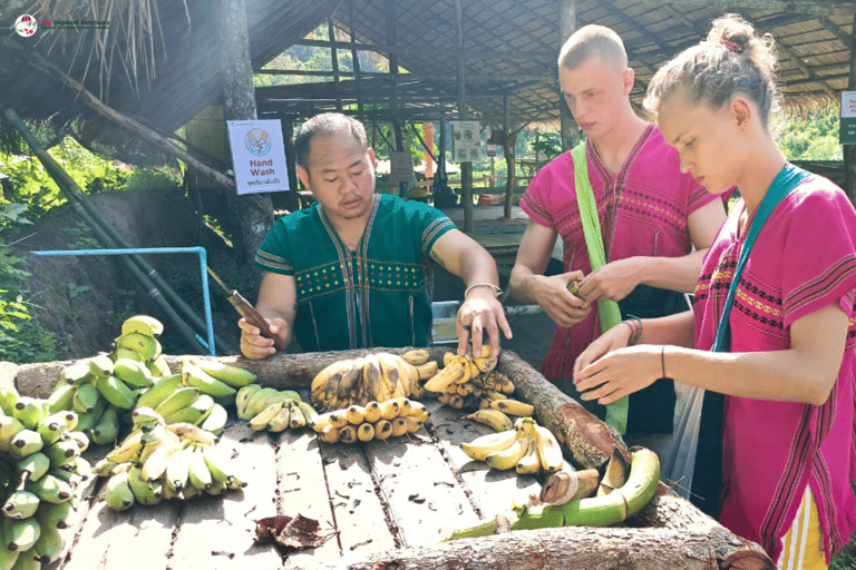 Chiang Mai: Elephant Sanctuary & Watch Sunrise at Temple
