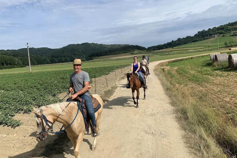 Monferrato: Horseback Riding in Nature with Lunch at a Farmhouse